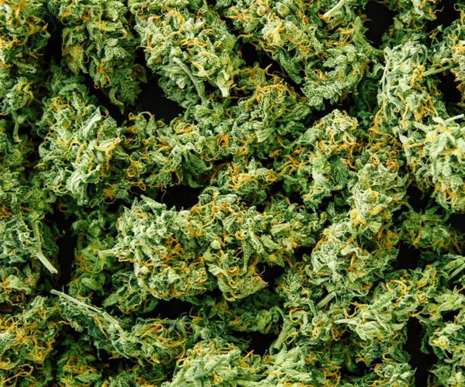 Produkte Cannabis Blüten