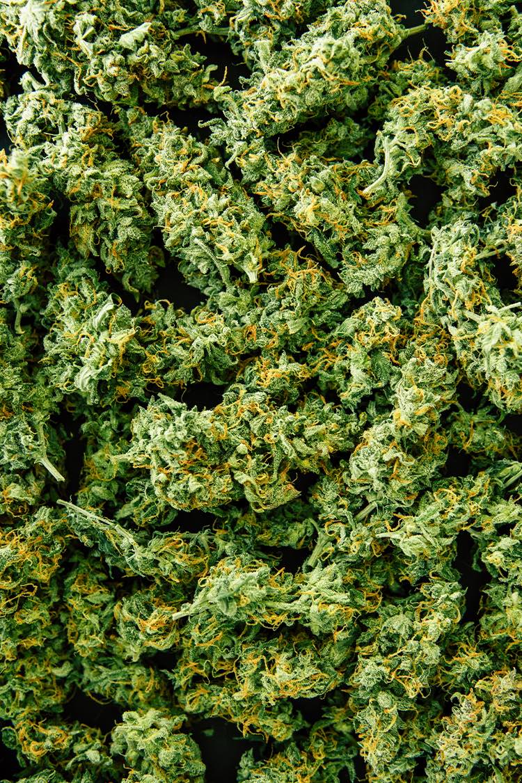 Produkte Cannabis Blüten