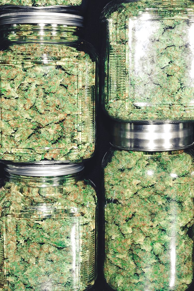 Produkte Cannabis Specials